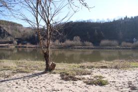 Prodej, zahrada, 300 m2, Husinec - Řež
