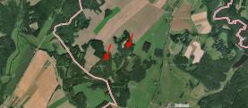 Prodej, les, 14830 m2, Studnice, Hlinsko