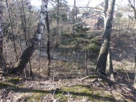 Prodej, pozemek, 734 m2, Nová Ves u Frýdlantu nad Ostravicí