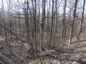 Prodej, pozemek, 1338 m2, Nová Ves u Frýdlantu nad Ostravicí