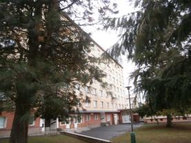 Prodej, byt 1+kk, Karlovy Vary, 18 m2, ul. Fibichova