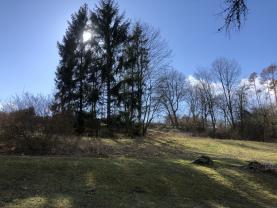 Prodej, pozemek, 301 m2, Křepenice