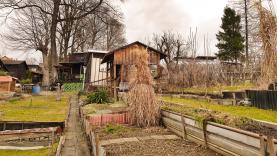 Prodej, zahrada, 202 m2, Havířov - Město