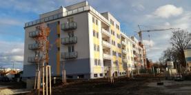Pronájem, byt 2+kk, 49 m2, České Budějovice, ul. Pluk.Malého