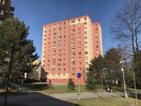 Pronájem, byt 1+kk, 21 m2, České Budějovice, Netolická