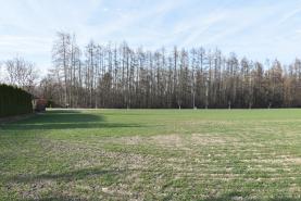Prodej, parcela k výstavbě RD, 1520 m2, Opočno