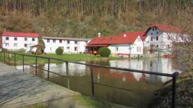 Pronájem, ostatní komerční objekty, 360m2, Hřebečníky