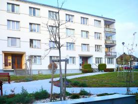 Pronájem, byt 2+1, 65 m2, Bor u Tachova