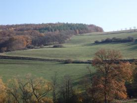 Prodej, pozemek 71696 m2, Beroun - Zdejcina