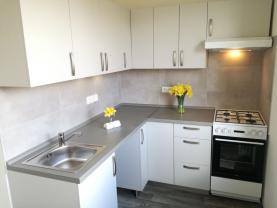 Flat 1+1 for rent, 39 m2, Ostrava-město, Ostrava, Lužická
