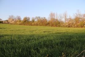 Field, 4573 m2, Jičín, Vysoké Veselí