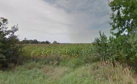 Field, 7004 m2, Kolín, Týnec nad Labem