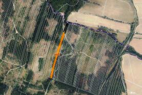 Woodland, 6647 m2, Olomouc, Nová Hradečná