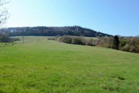 Meadow, 35650 m2, Zlín, Provodov