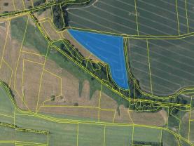 Field, 32350 m2, Benešov, Pravonín