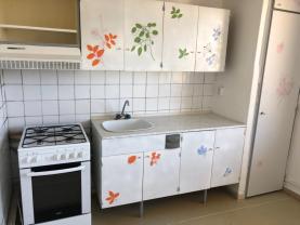 Flat 1+1, 44 m2, Ostrava-město, Ostrava, Cholevova