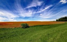 Field, 10309 m2, Semily, Nová Ves nad Popelkou