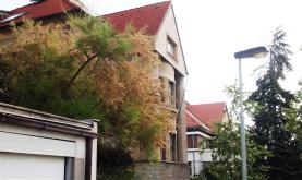 Pronájem, kanceláře, 125 m2, Praha 10 - Vinohrady