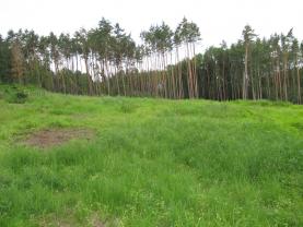 Prodej, lesní pozemek, 15414 m2, Kestřany - Zátaví