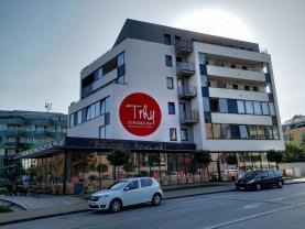 Flat 1+kk for rent, 32 m2, Hradec Králové, Ve Stromovce