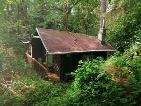 Prodej chaty, 32 m2, Čížová, Borečnice