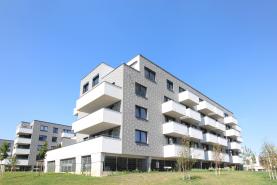 Flat 1+kk for rent, 34 m2, Praha 10, Praha, Kryšpínova