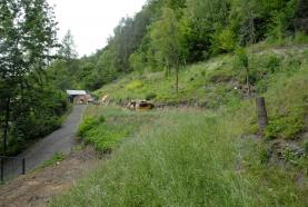Building lot, 5358 m2, Semily, Rakousy