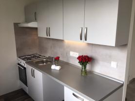 Flat 1+1 for rent, 27 m2, Ostrava-město, Ostrava, 29. dubna