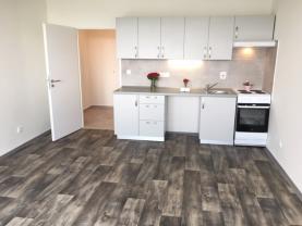 Flat 1+kk for rent, 32 m2, Ostrava-město, Ostrava, Milana Fialy