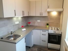 Flat 1+1 for rent, 40 m2, Ostrava-město, Ostrava, Tylova