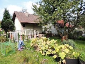 Hut, Ostrava-město, Ostrava