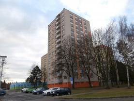 Pronájem, byt 1+1, OV, 50 m2, České Budějovice, Kubatova ul.