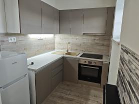 Pronájem bytu 1+1, 35 m², Ostrava, ul. Mírová