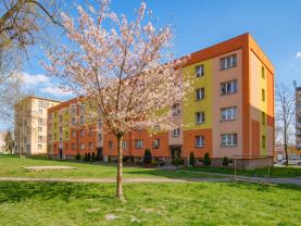 Prodej bytu 2+1, 54 m², Karviná, ul. Haškova
