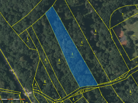 Prodej lesa, 3741 m², Hosín