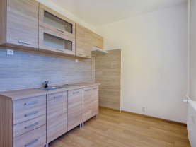 Prodej bytu 2+1, 62 m², DV, Chomutov, ul. Holešická