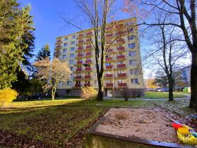 Prodej bytu 1+1 v Žďáru nad Sázavou; ul. Švermova