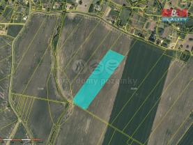 Prodej pole, 30130 m², Damníkov