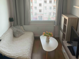 Pronájem bytu 1+kk, 30 m², Plzeň, ul. Krašovská
