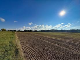 Prodej pole, 46.982 m², Vřesce - Ratibořské Hory