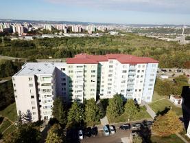Prodej bytu 3+1, 73 m², Brno, ul. Zikova
