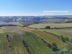 Prodej ovocného sadu, 70922 m², Fulnek