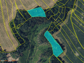 Prodej lesa, 11459 m², Nýrov
