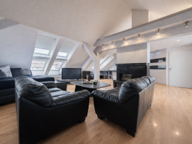 Prodej rodinného domu, 379 m², Brno - Štýřice