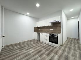 Pronájem bytu 1+1, 35 m², Ostrov, ul. Lidická