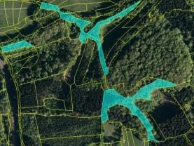 Prodej lesa, 10226 m², Lužná u Vsetína