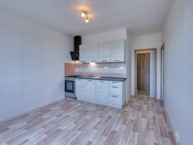 Pronájem bytu 1+1, 40 m², Dobřany, ul. Loudů
