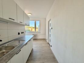 Prodej bytu 3+1, 80 m², Ústí.n.L, U Pivovarské zahrady