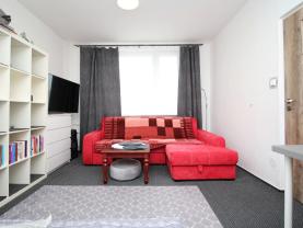 Pronájem bytu 1+1, 32 m², Rokytnice v Orlických horách