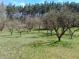 Prodej zahrady, 1250 m², Strakonice
